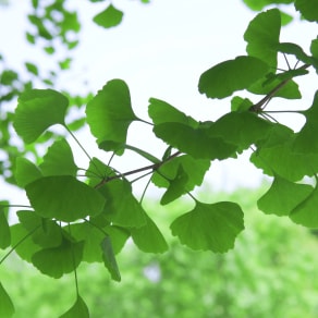 越努力越幸運(yùn)的句子發(fā)朋友圈，越努力越幸運(yùn)的句子發(fā)朋友圈說說？